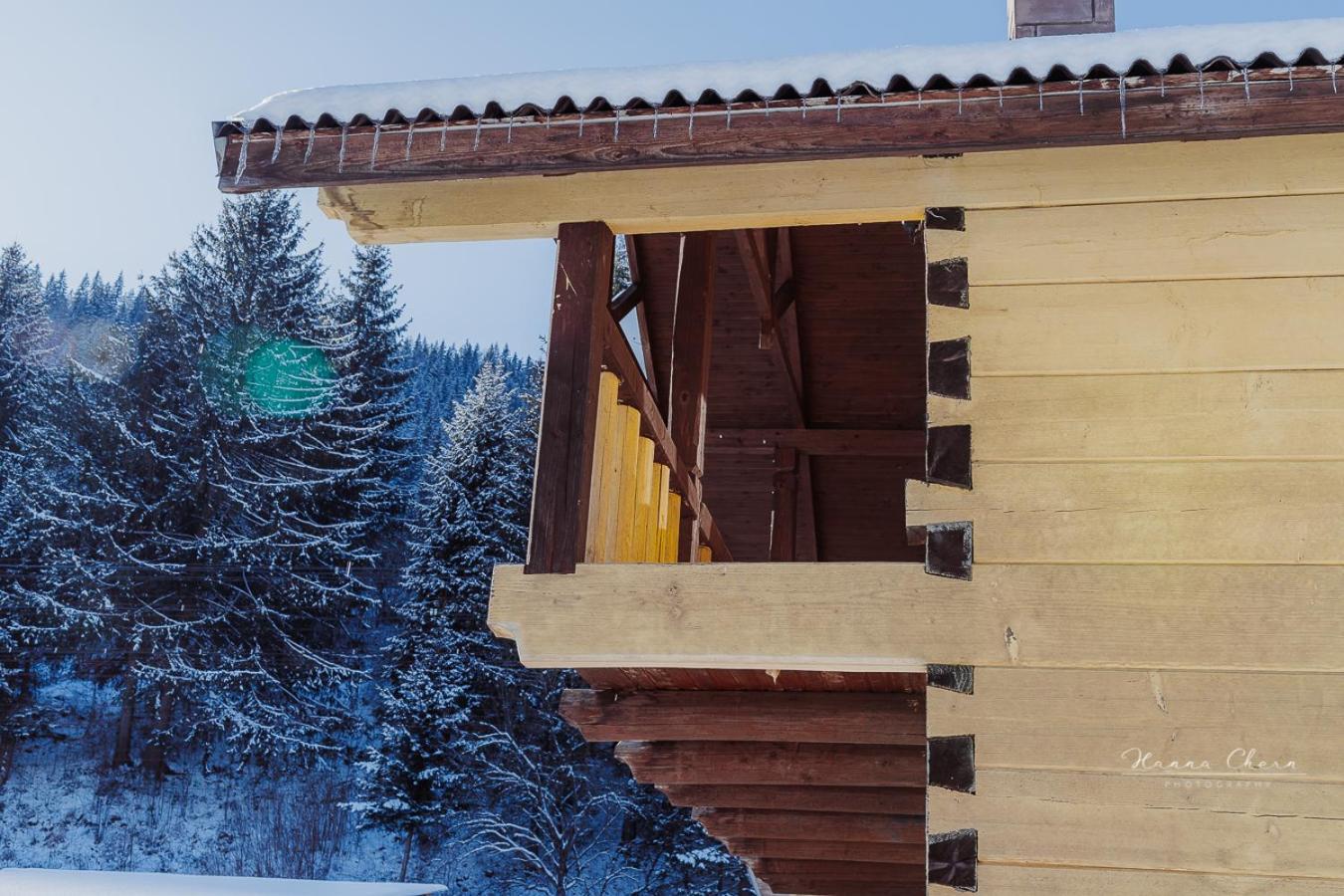7+Я Vila Verkhovyna Exterior foto